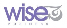 Wise Business, Ingenieros y Consultores