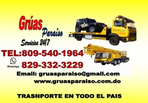 gruas paraiso