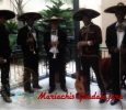 Mariachis Guadalajara