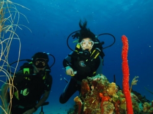 buceo punta cana