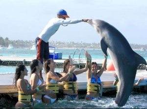 Dolphin island Punta Cana